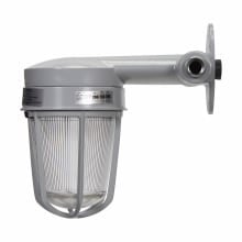 VXHT22GP Vaporgard Vaportight Luminaire With Globe, Guard, PS25 Lamp, 120 VAC, Epoxy Powder Coated Housing