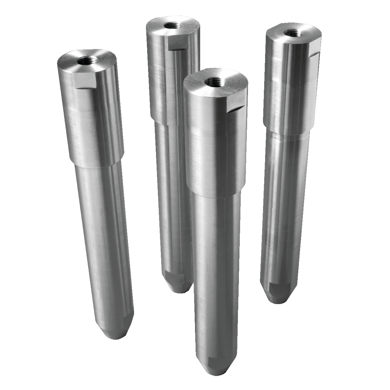 WSFSLKSS WSY Fixed Sanitary Leg Kit, For Use With Floor Mount Enclosures, 304 Stainless Steel