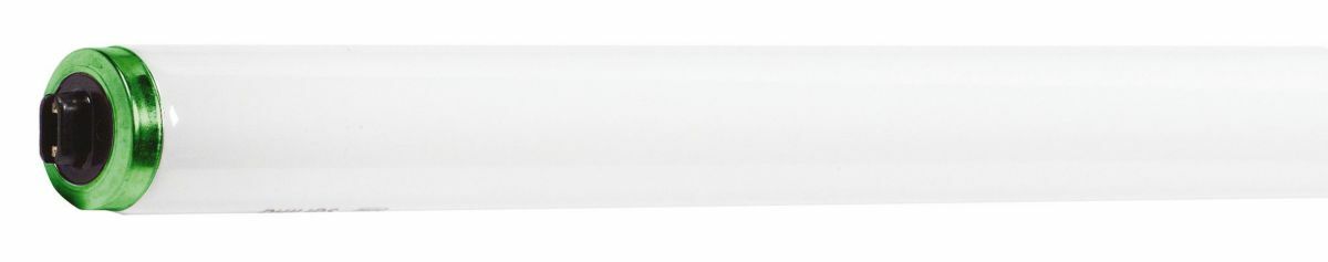 369843 ALTO Type TL High Output Fluorescent Lamp, 60 W, R17d, 3400 Lumens, 79 CRI, 6500 K, 48 in L