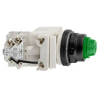 30mm push button, Type SK, push to test pilot light, green 24/28VAC/VDC LED light module, green fresnel lens, NEMA 4, 4X