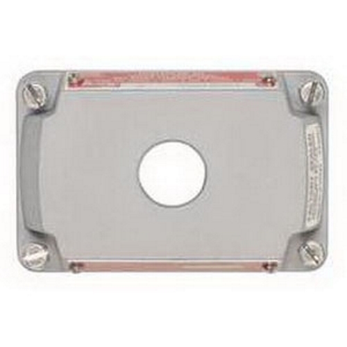 Rectangular Cover/Name Plate; 3/4 Inch Tapped Opening, Copper-Free Aluminum