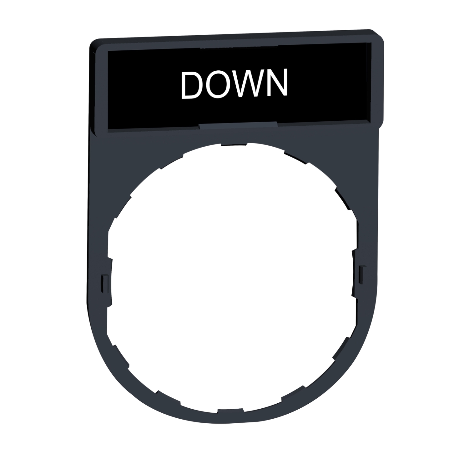 ZBY2308 Harmony Standard Pushbutton Legend Plate, 30 mm H x 40 mm W, Rectangular Plate, Plastic, Black Field