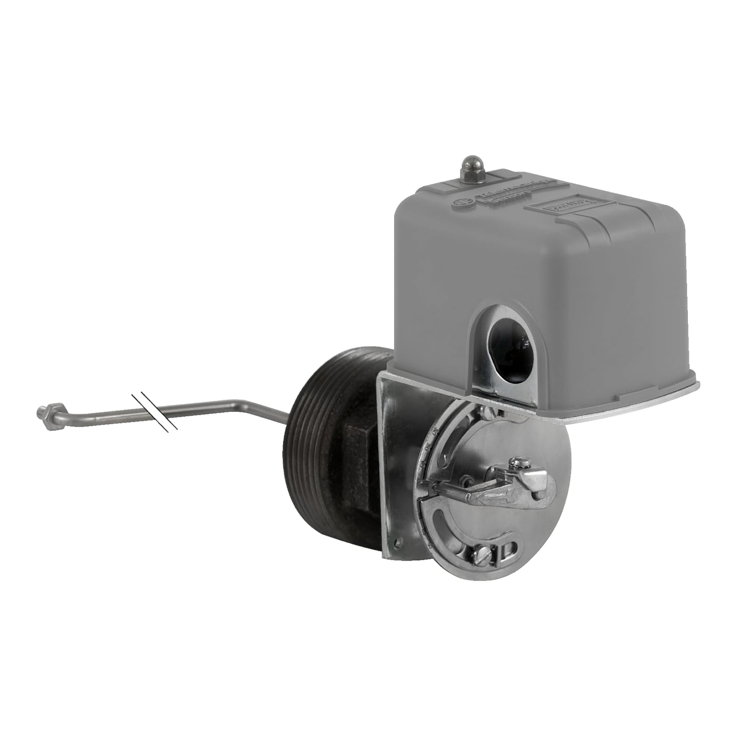 9037HG32LZ20 Type H Float Switch, DPST Output, 575 V AC