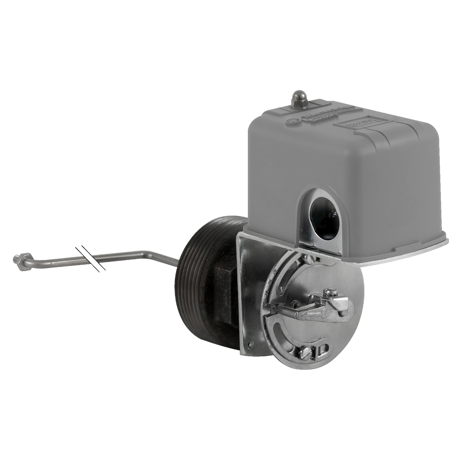 9037HG32Z20 2-Pole Type H Float Switch, 575 V AC
