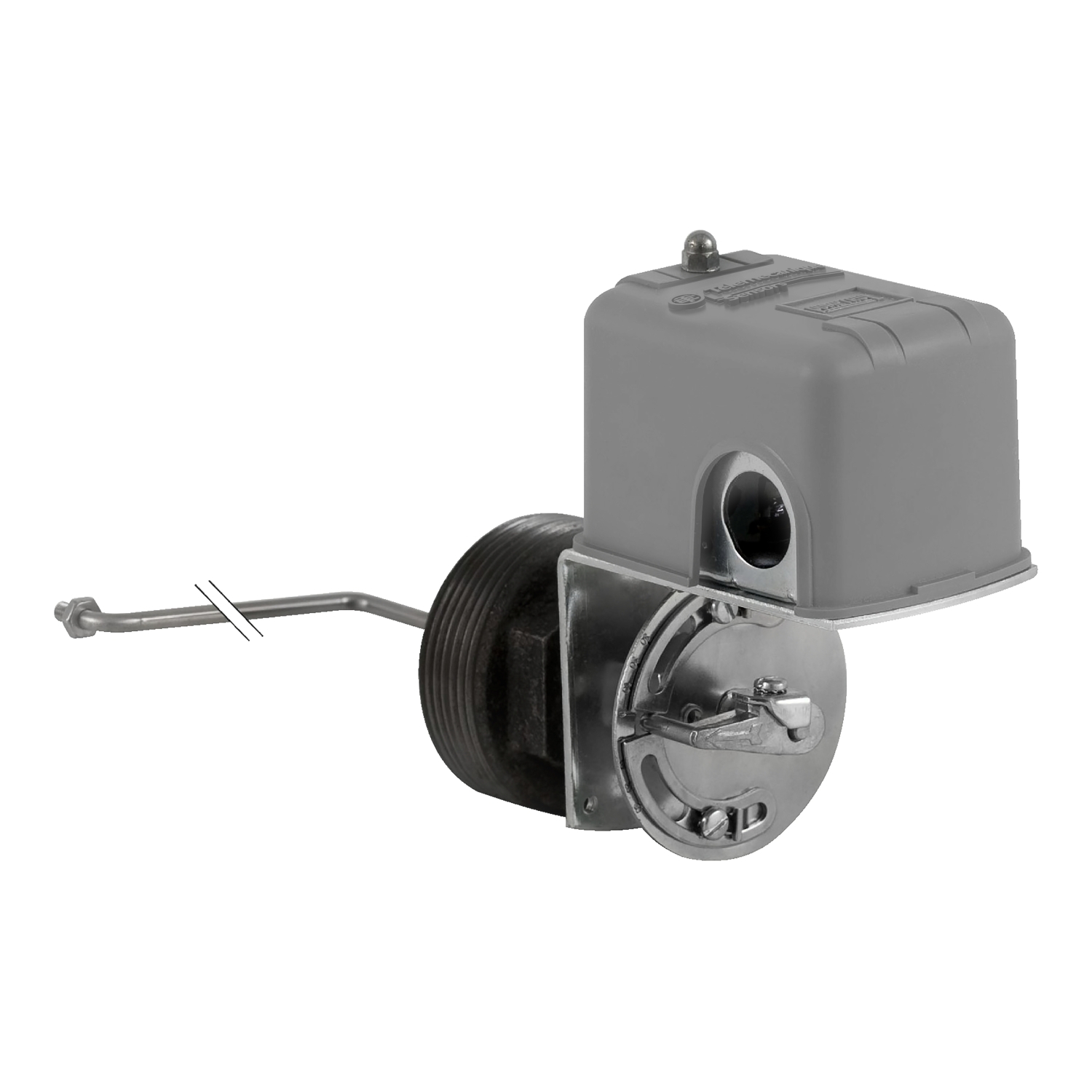 9037HW32LZ20 2-Pole Type H Float Switch, 575 V AC