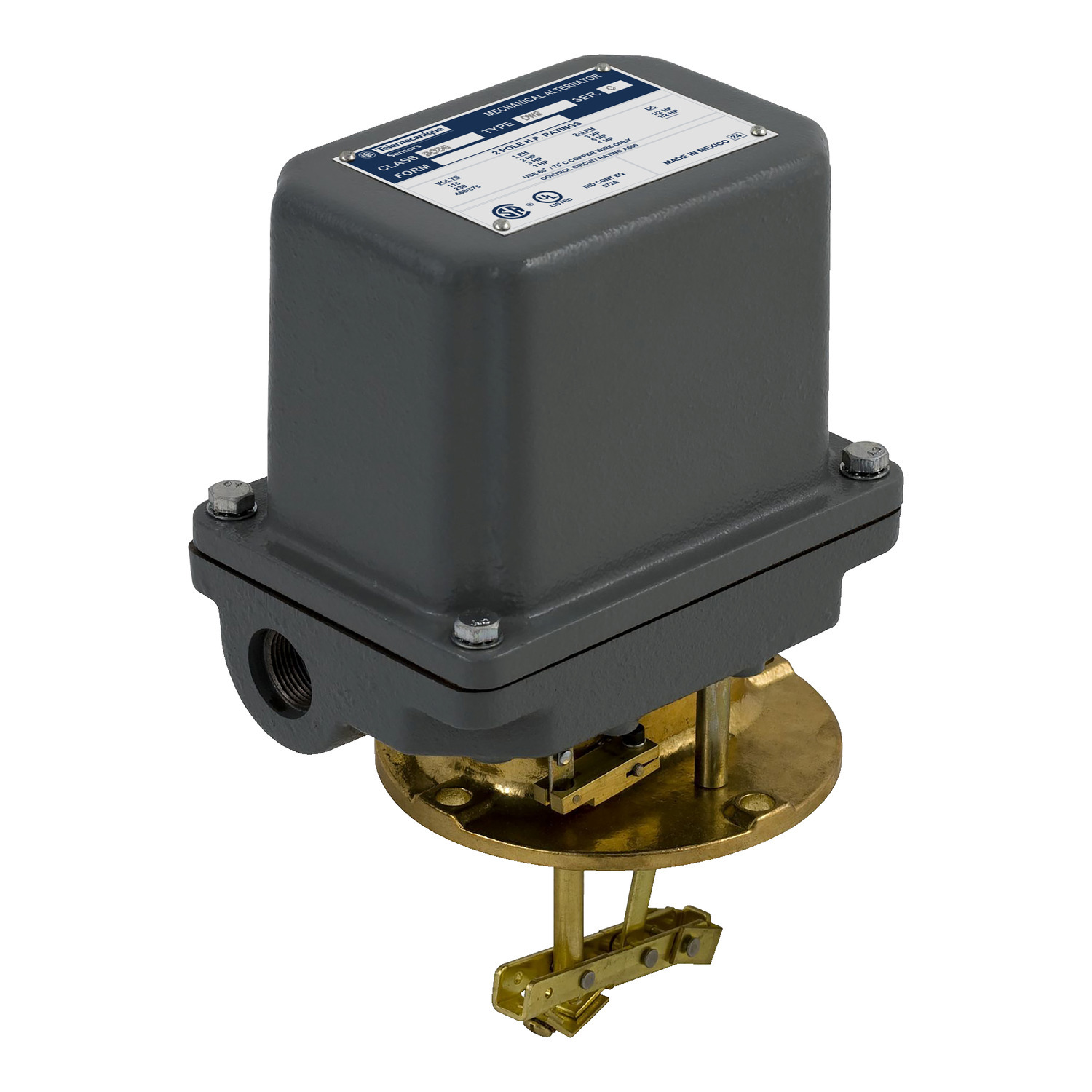 9038DW8 2-Pole Type D Float Switch, 575 V AC