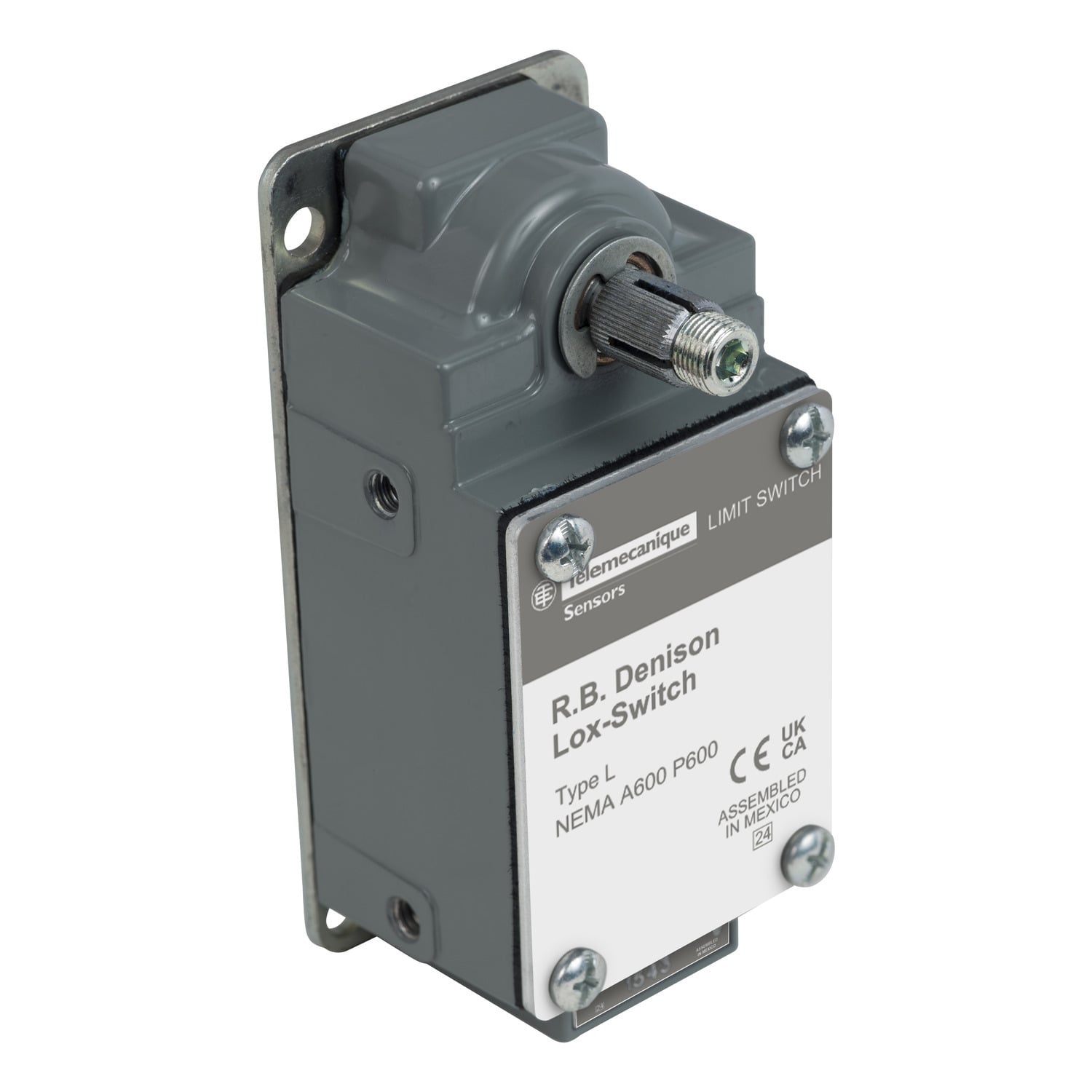 L100WS2M1 Fixed Severe Duty Mill Limit Switch, 600 V, 20 A, 1NO-1NC 1 Form Z DPDT-DB Contact, 2 Poles