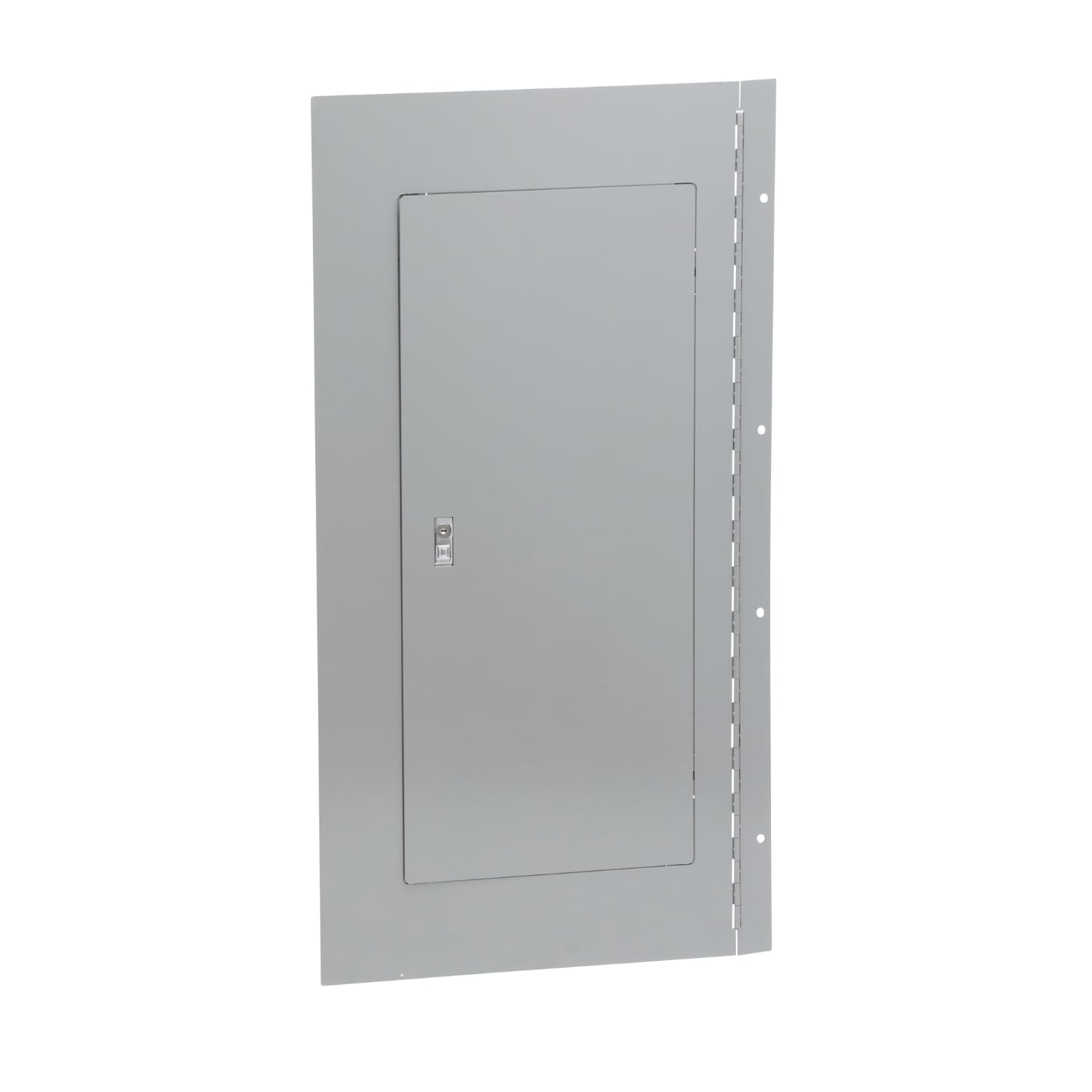 NC38SHR Type 1 Hinged Cover/Trim Kit, 38 in L x 20 in W, For Use With NQ/NF Series 240 V AC Lighting Panelboard, Steel, Surface Mount