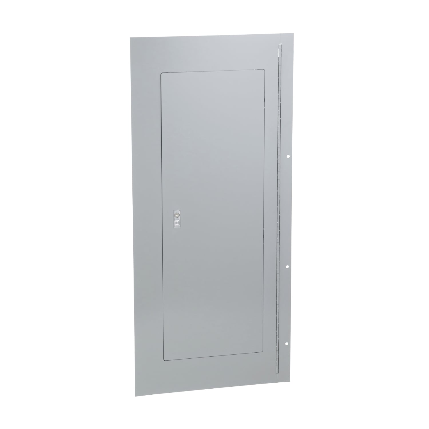 NC44SHR Type 1 Hinged Cover/Trim Kit, 44 in L x 20 in W, For Use With NQ/NF Series 240 V AC Lighting Panelboard, Steel, Surface Mount