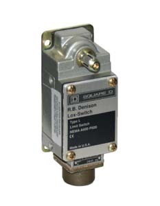 PL100WS2M1 L100 Severe Duty Limit Switch, 600 V, 10 A, 2 Poles