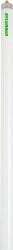 FO96/841/ECO/22149 Octron 800 Ecologic Fluorescent Lamp, 96 W, 5900 Lumens, 82 CRI, 4100 K, 96 in L