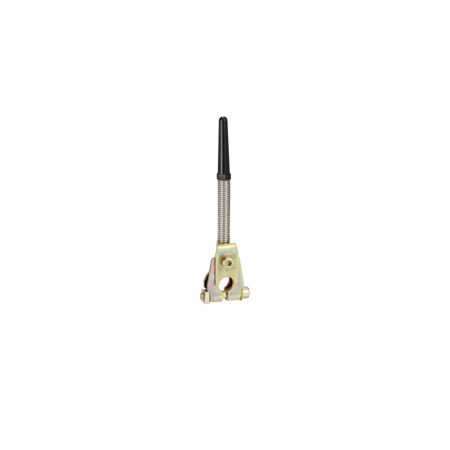 ZC2JY81 OsiSense Rotary Standard Limit Switch Lever, Thermoplastic Roller