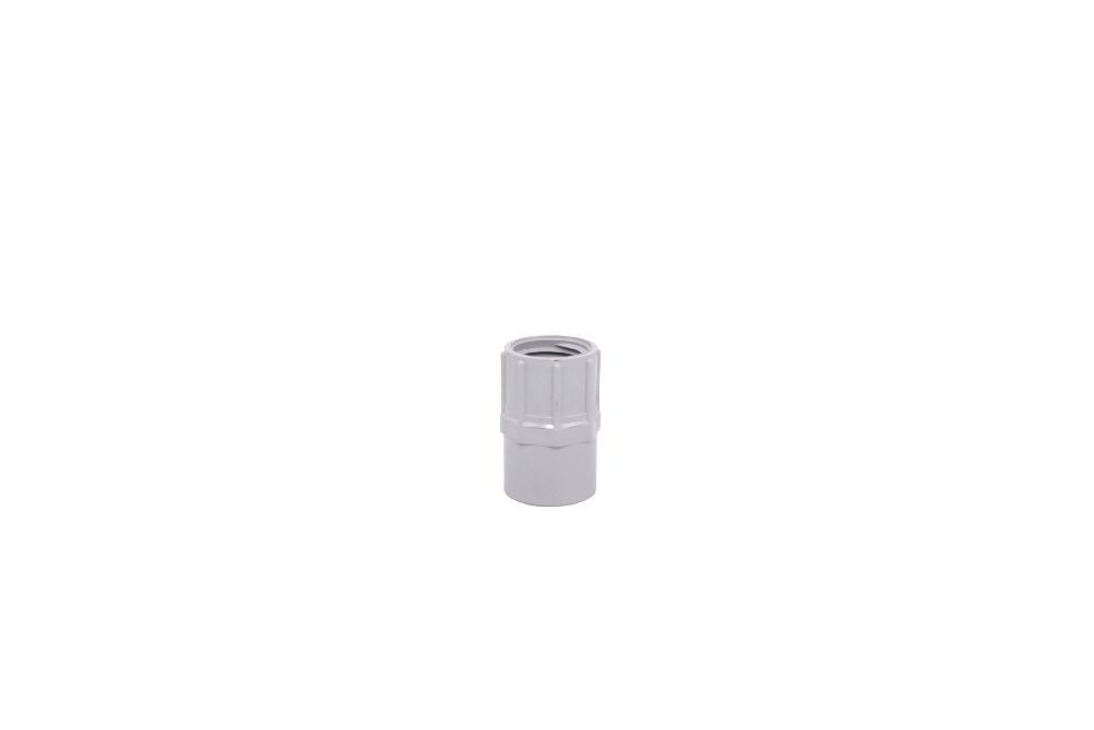 77043 Adapter, 1 in, FNPT Thread, PVC