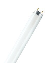 FO25/850/XP/ECO3/22194 Octron 800 XP Ecologic3 Extended Performance Fluorescent Lamp, 25 W, G13 Lamp, 2175 Lumens, 85 CRI, 5000 K, 35.78 in L