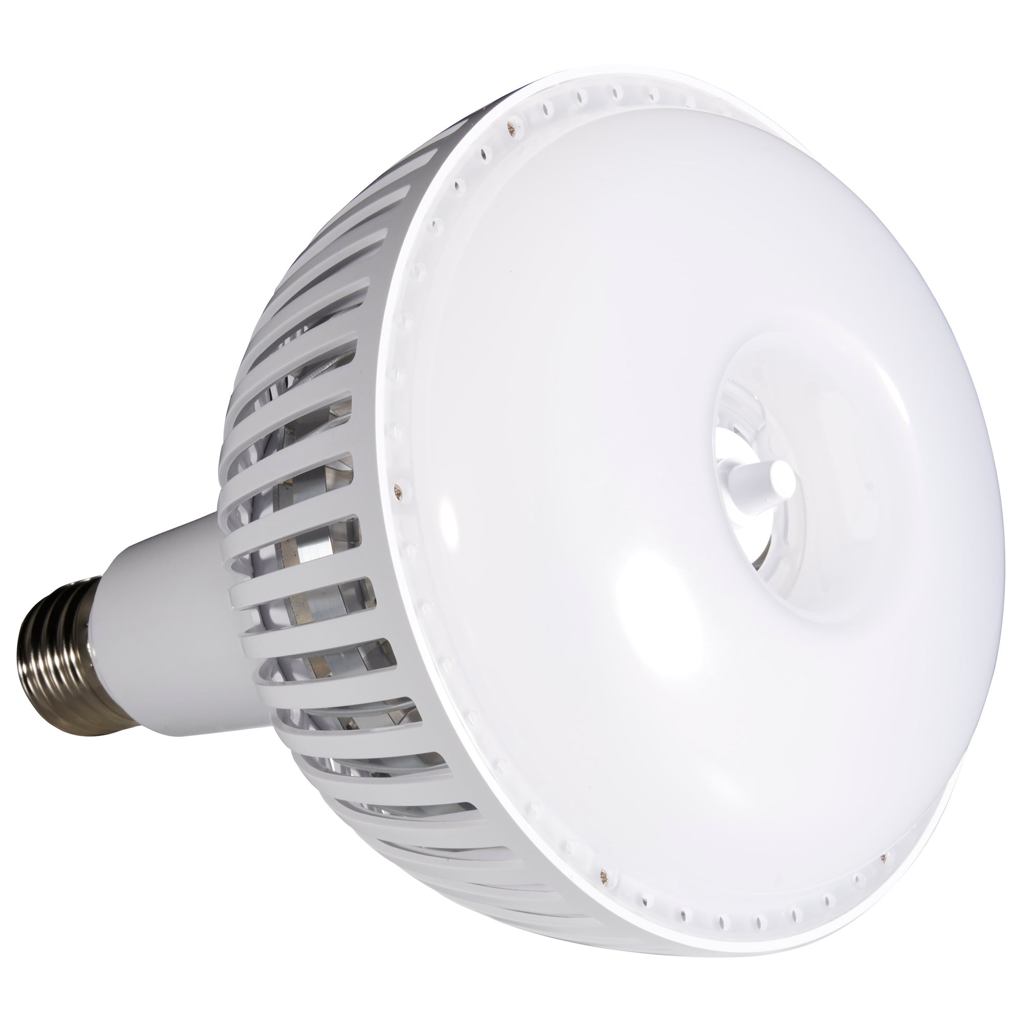 S23113 Replacement HID, 80 W, EX39 Lamp Base, ED28 Shape, 10000 Lumens