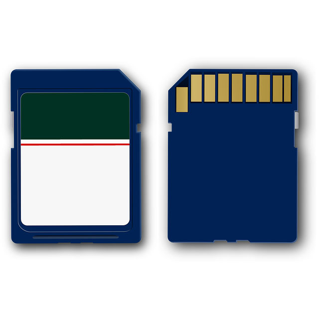 SD002G00 SD Card, 2 GB Storage