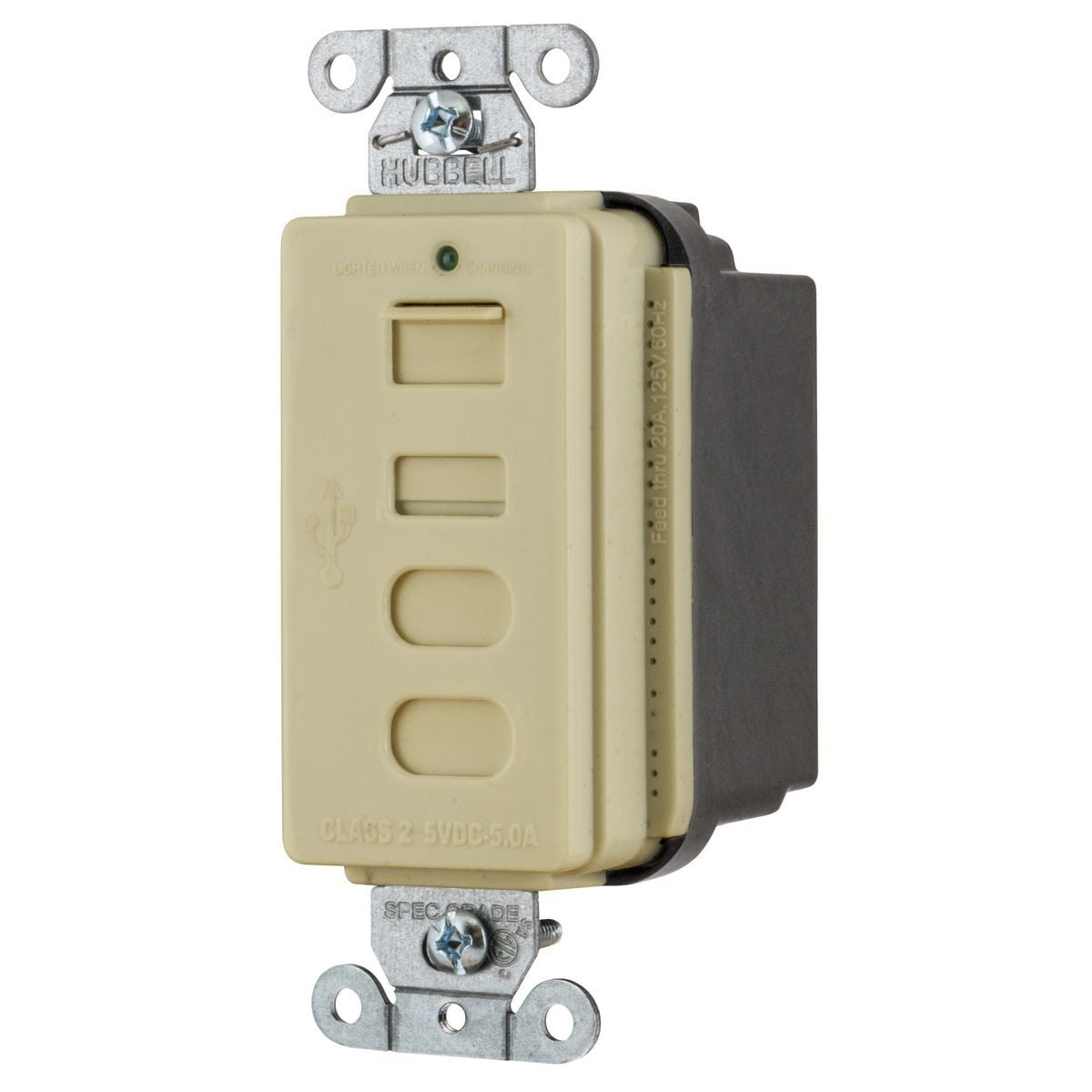 USB4ACI Decorator Duplex Tamper-Resistant Receptacle and USB Charger, 125 V, 15 A, 2 Poles, 3 Wires, Ivory
