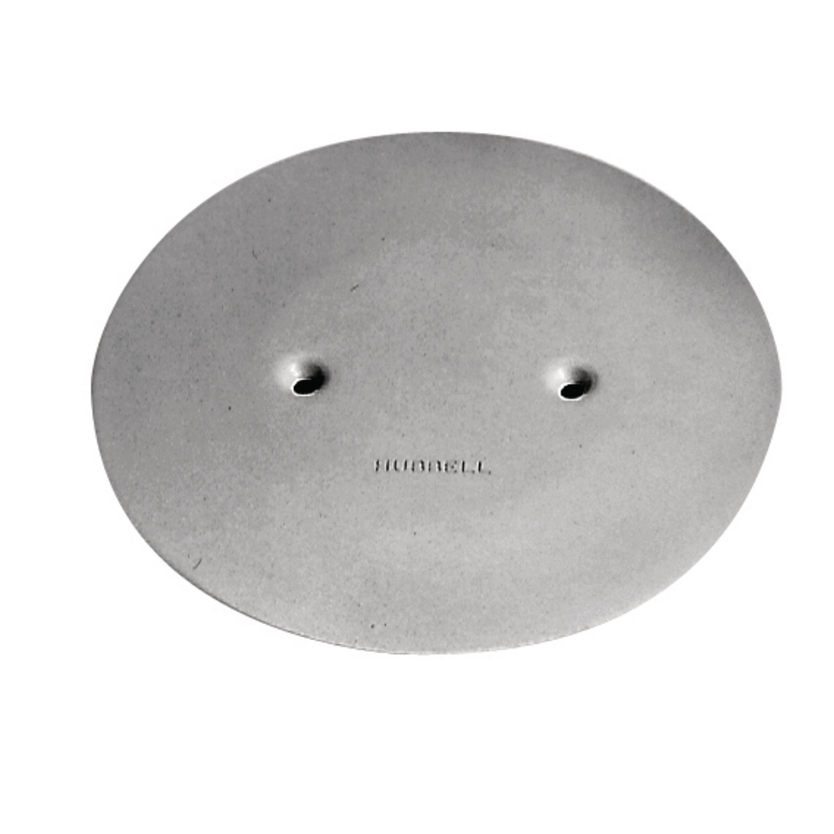 AP2GY Flush Standard Abandonment Plate, 3 in Dia, Aluminum