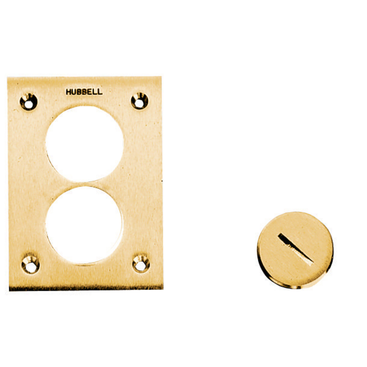 S5030 Machined Replacement Standard Flush Plug, For Use With Floor/Wall Box, Brass
