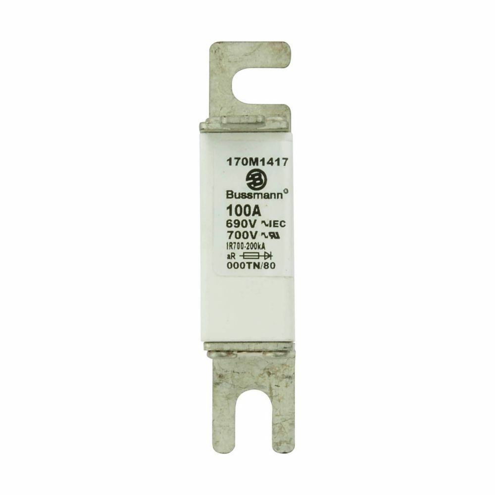 170M1417 Type TN/80/T High Speed Fuse, 100 A, 690 V, 200 kA Interrupt, Class: aR, Square Body