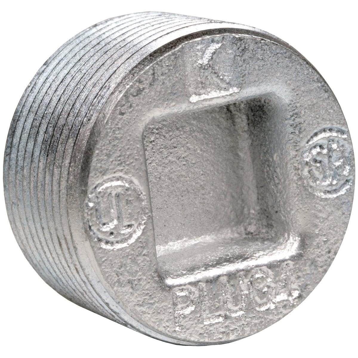 PLUG6 PLUG Recessed Close Up Plug, 2 in, For Use With Conduit Fittings, Iron, Electro-Plated Zinc