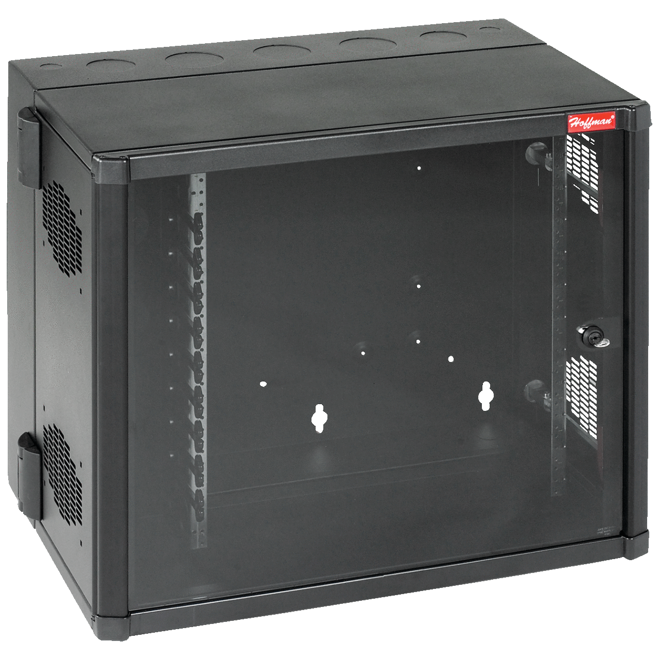 EWMW242825 AccessPlus DWDH1 Double Hinged Window Door Cabinet With Cable Manager, 23.62 in L x 27.56 in W x 25.09 in D, NEMA 1 NEMA Rating, Steel