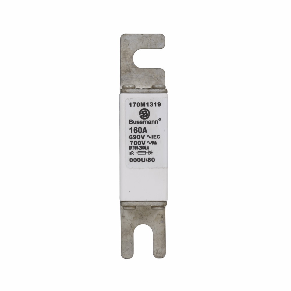 170M1319 Type U/80 High Speed Fuse, 160 A, 690 V AC, 200 kA Interrupt, Class: aR, Square Body