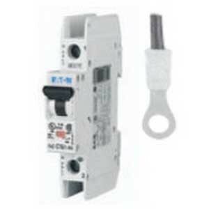 FAZ-D2/1-RT-SP Miniature Circuit Breaker, 2 Amp, 1 Pole, 277/480V
