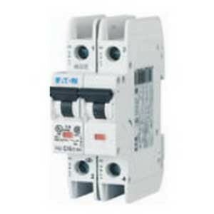 FAZ-D2/2 Miniature Circuit Breaker, 2 Amp, 2 Pole, 277/480V