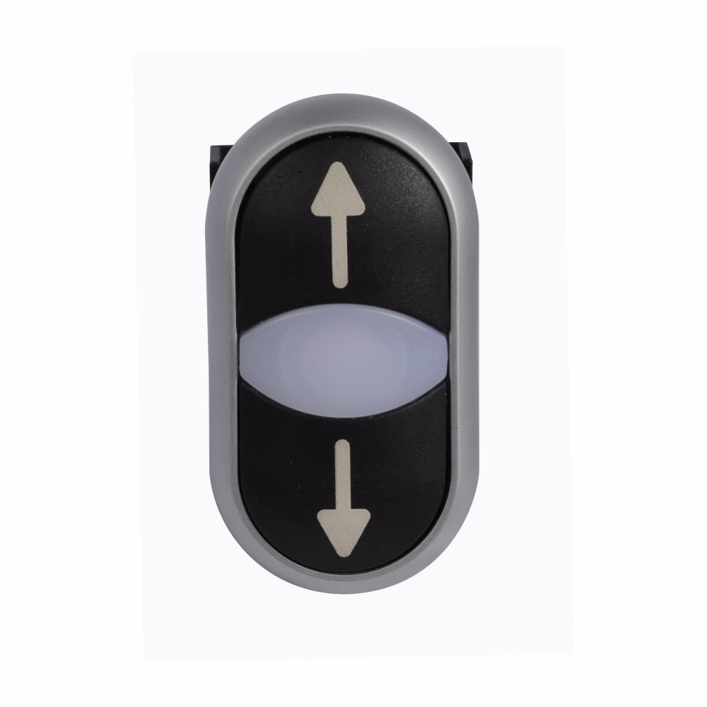 M22-DDL-S-X7-X7-K20 Modular Illuminated Pushbutton, 22.5 mm, 2NO Contact, Flush Operator