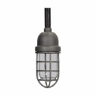 Eaton Crouse-Hinds series V-Series VDA light fixture, Glass globe, With cast copper-free aluminum guard, Incandescent, Feraloy iron alloy, A-23 max. lamp size, Enclosed and gasketed, 3/4", 150W