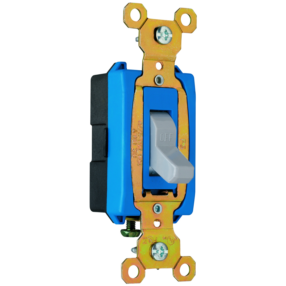 CSB15AC1GRY Hard Use Switch, Gray