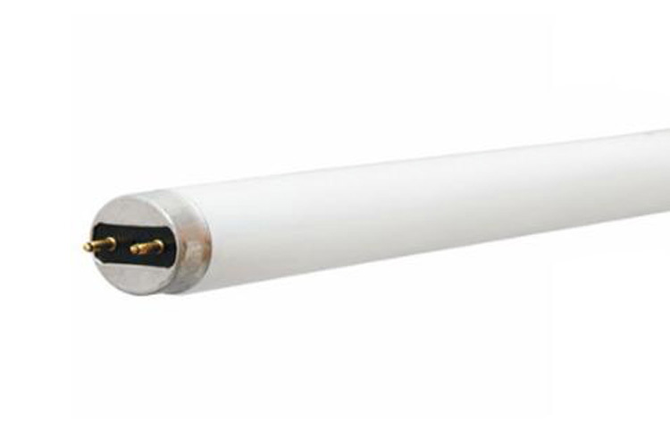 F17T8/SP30/ECO Linear Fluorescent Lamp, 17 W, G13 Lamp, 1325 Lumens, 78 CRI, 3000 K, 23.78 in L