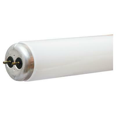 10514   FLUORESCENT F40