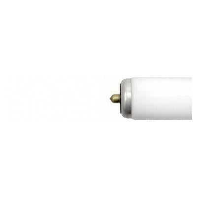 F72T12/D-15PK Linear Fluorescent Lamp, 55 W, 3800 Lumens Initial/3800 Lumens Mean, 75 CRI, 6500 K, 72 in L