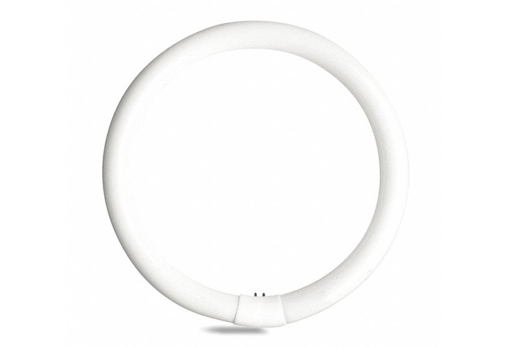 FC12T9/CW Linear Circline Fluorescent Lamp, 32 W, 1.12 in OAD, T9 Shape, 1950 Lumens Initial/1460 Lumens Mean