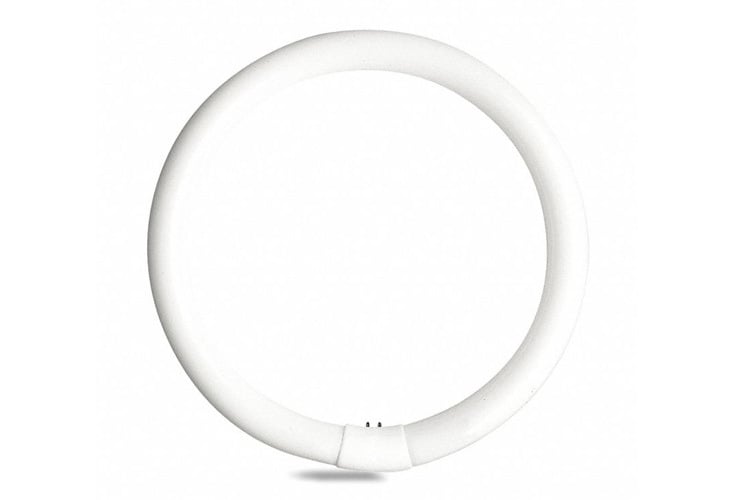 FC8T9/CW Linear Circline Fluorescent Lamp, 22 W, 1.12 in OAD, T9 Shape, 1100 Lumens Initial/825 Lumens Mean