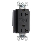 Isolated Ground Surge Protective Duplex Receptacle offers increased transient protection, reliability and protection notification (Audible Alarm with LED Indicator). Back and, Side Wire, 20amp 125volt, Brown.