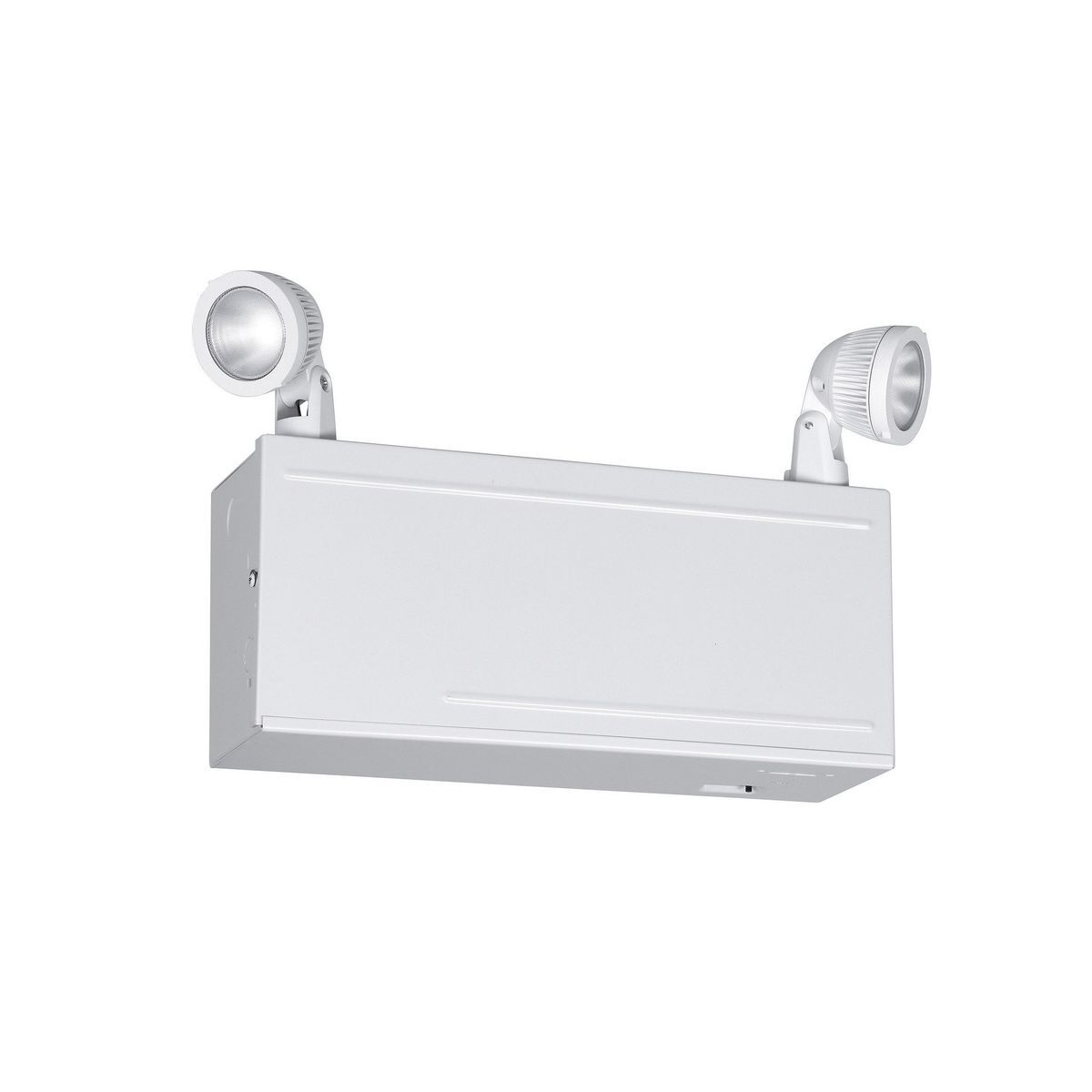 LM66 High Capacity Emergency Light, 66 W Incandescent Lamp, 120/277 V AC, 2 Heads, Steel