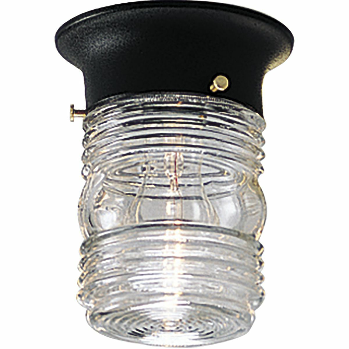 P5603-31 Casual/Transitional/Traditional Utility Wall Lantern, 60 W, E26 Incandescent Lamp