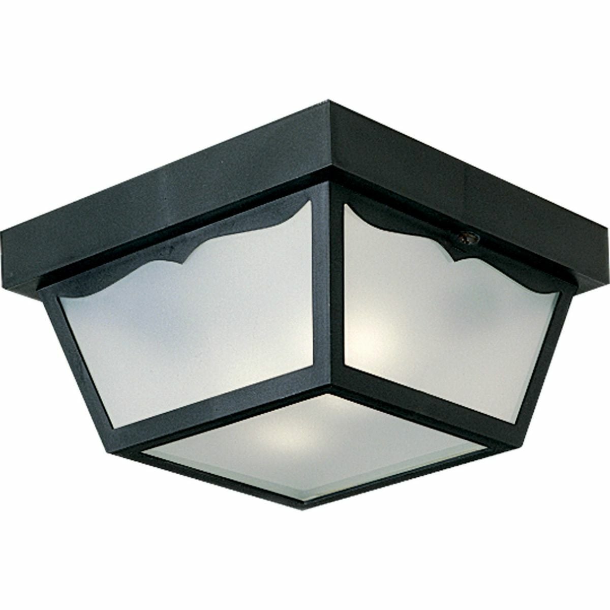 P5745-31 Casual/Traditional/Transitional Outdoor Fixture, (2) A19 Lamp, 120 V AC, Black Painted Housing