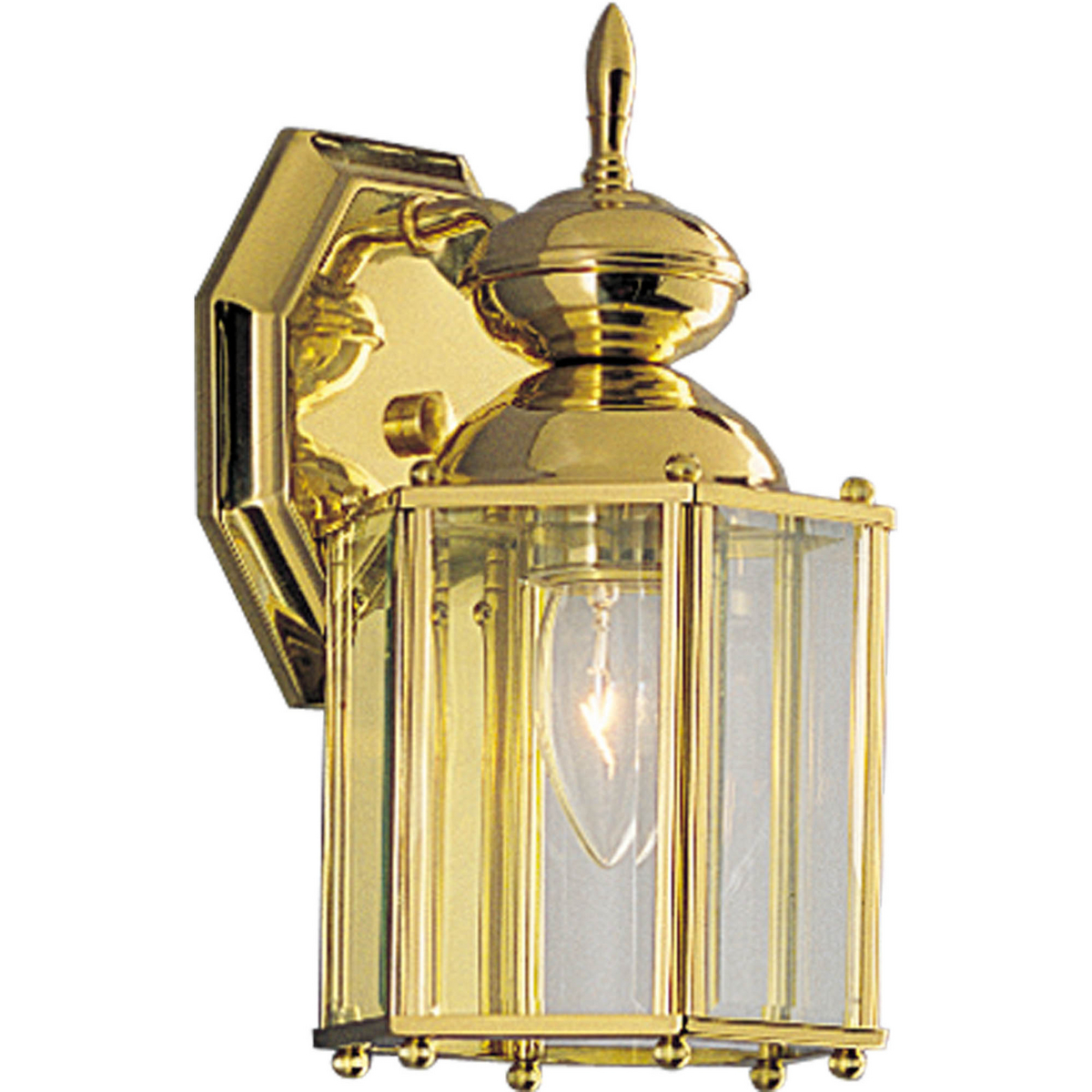 P5756-10 BrassGUARD Classic/New Traditional Wall Lantern, 100 W, E26 Incandescent Lamp