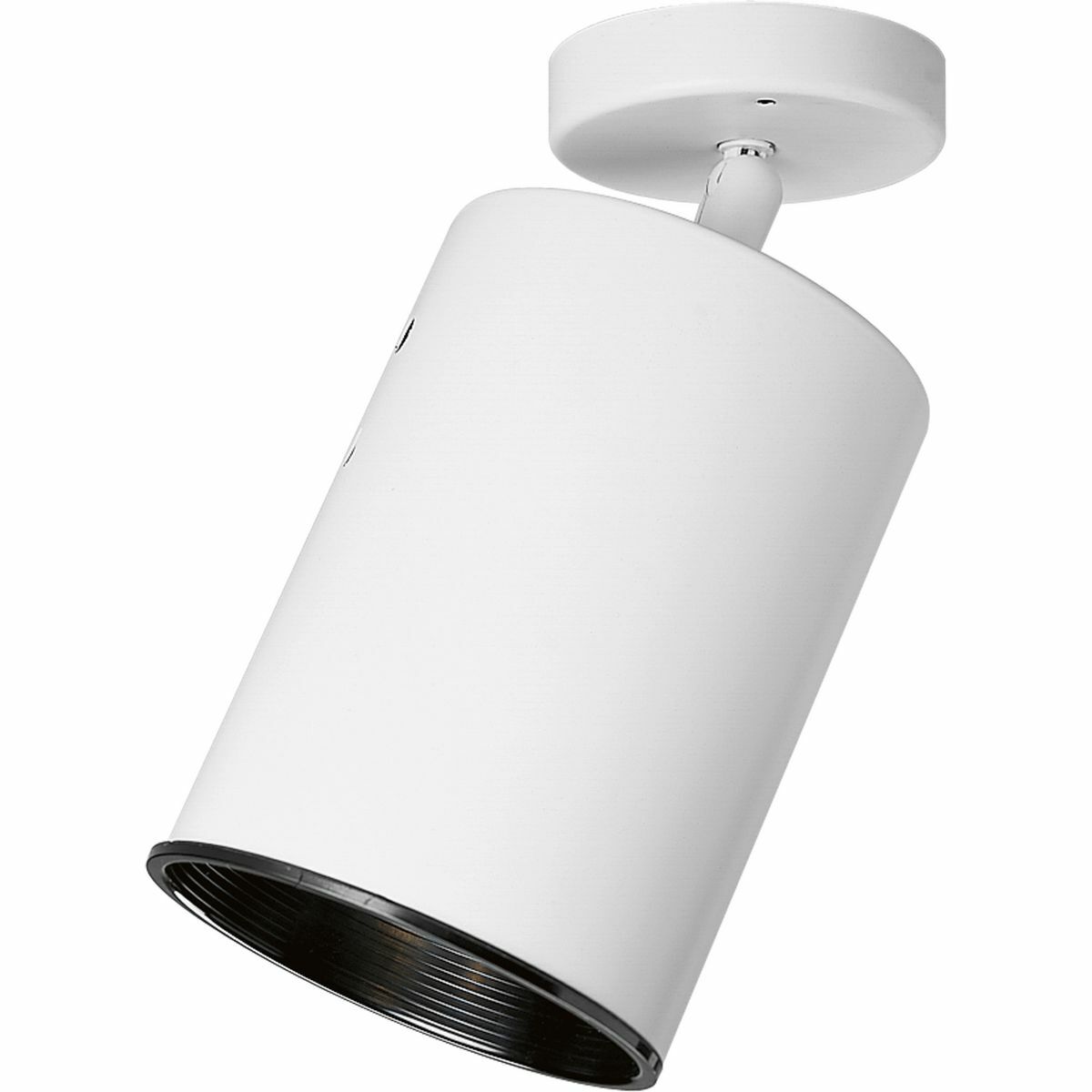P6397-30 Contemporary/Modern/Transitional Directional Light, Incandescent Lamp, 120 VAC, Steel Housing