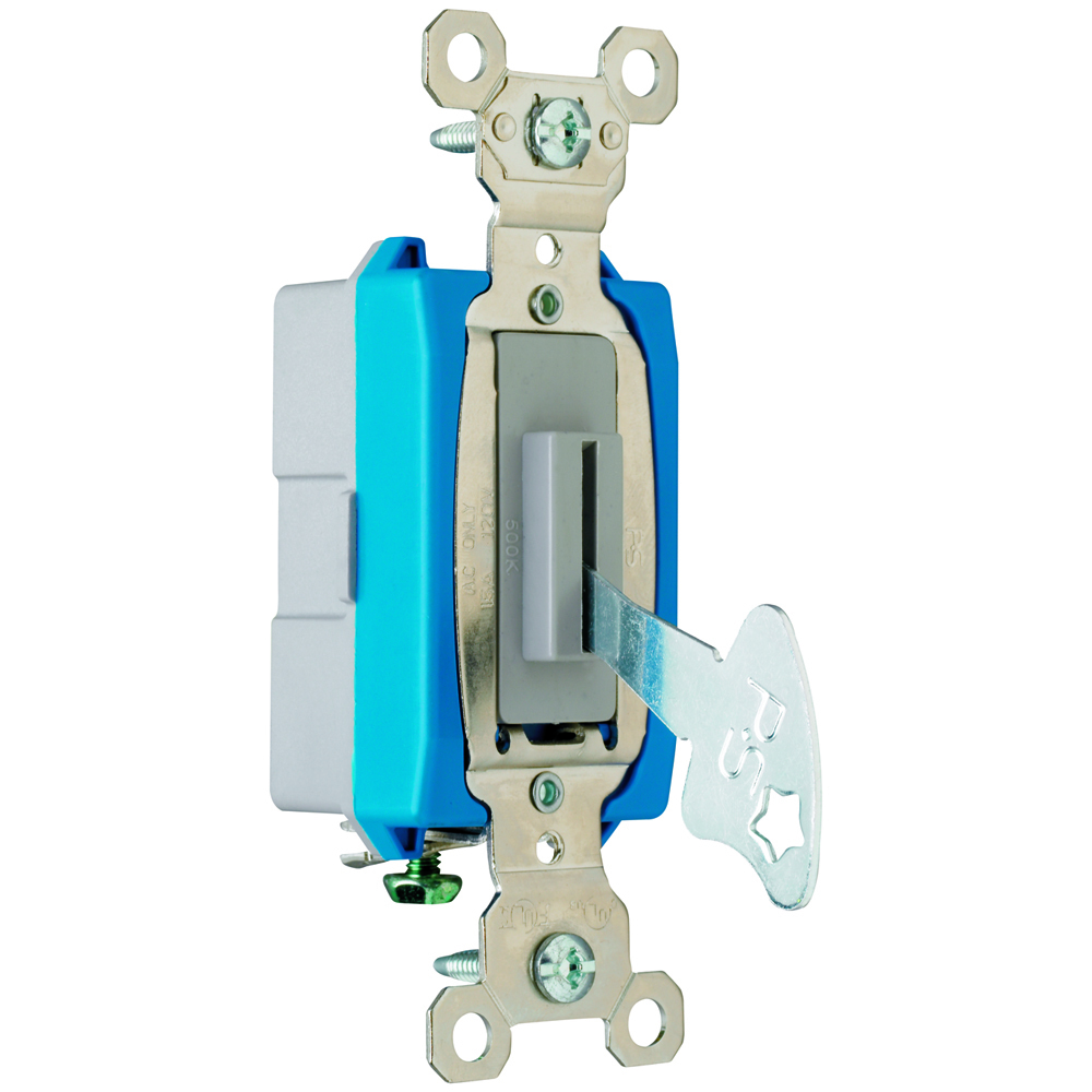PS15AC1L Industrial Extra Heavy Duty Lock Switch, Back and Side Wire, Gray