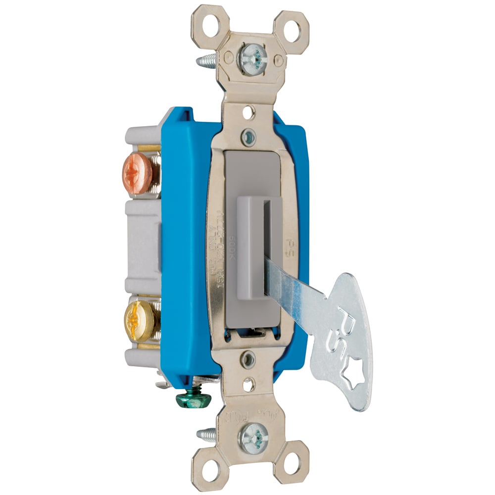 PS15AC3L Industrial Extra Heavy Duty Lock Switch, Back and Side Wire, Gray