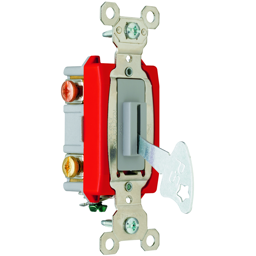 PS20AC3L Industrial Extra Heavy Duty Lock Switch Back and Side Wire, Gray