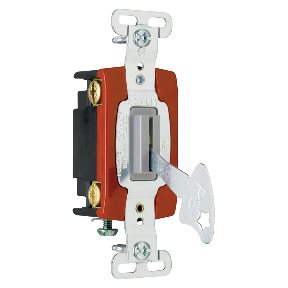 PS20AC4L Industrial Extra Heavy Duty Lock Switch Back and Side, Gray