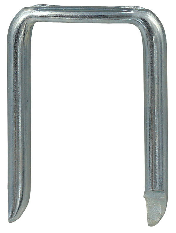 RXG503P Staple, Steel