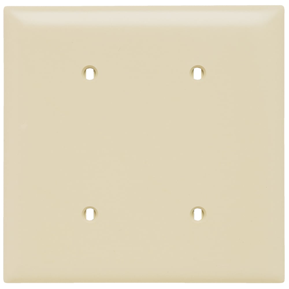 TP24I TradeMaster 2-Gang Nylon Wall Plate, Blank, Strap Mounted, Ivory