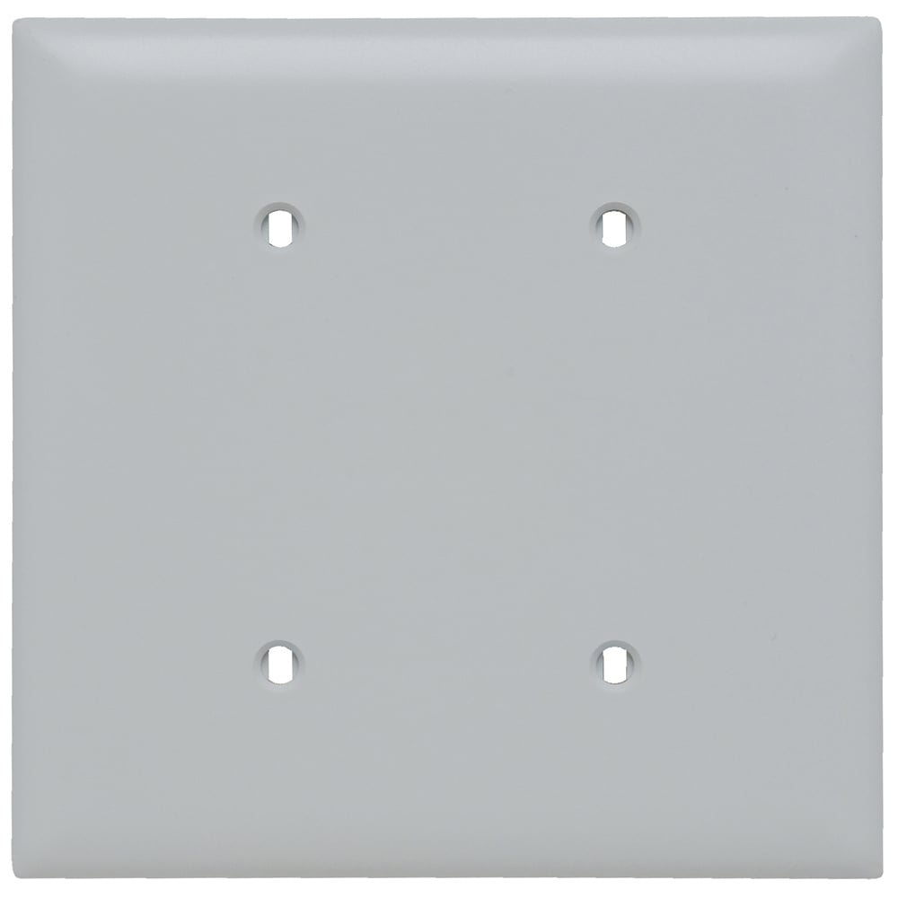 TP24W TradeMaster 2-Gang Nylon Wall Plate, Blank, Strap Mounted, White